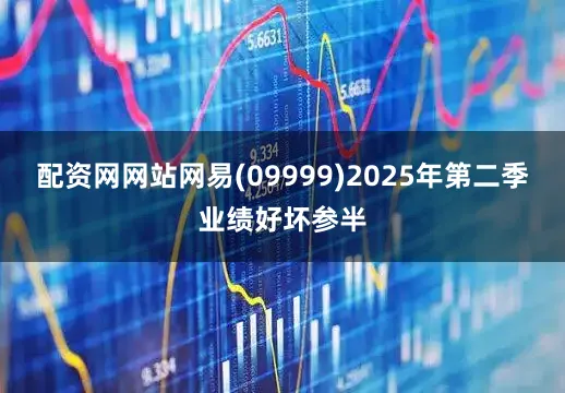 配资网网站网易(09999)2025年第二季业绩好坏参半